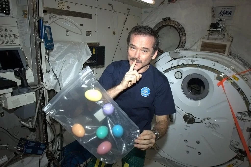 Chris Hadfield na ISS
